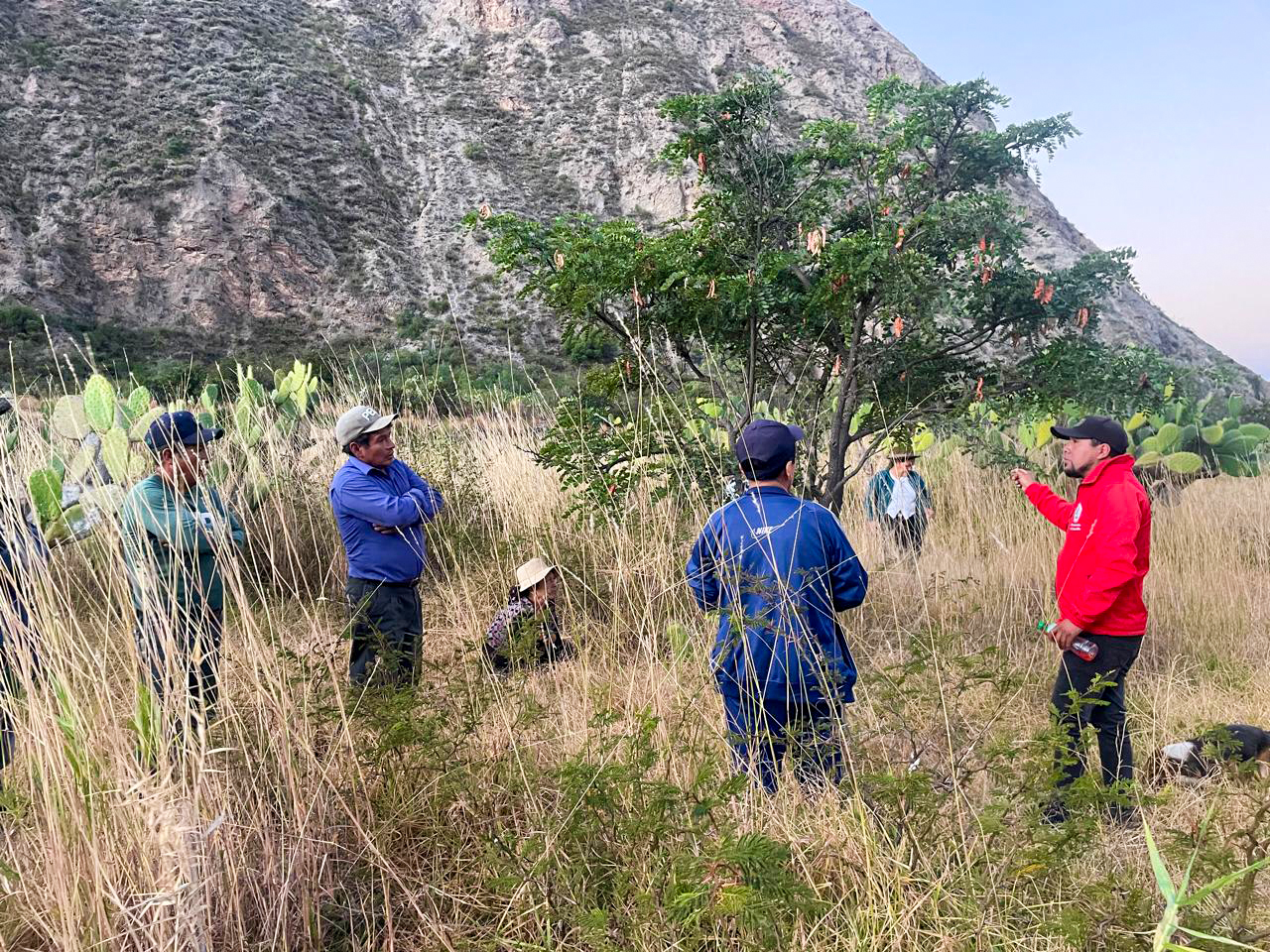 DRA Ayacucho monitorea 450 mil especies forestales instalados en Fajardo