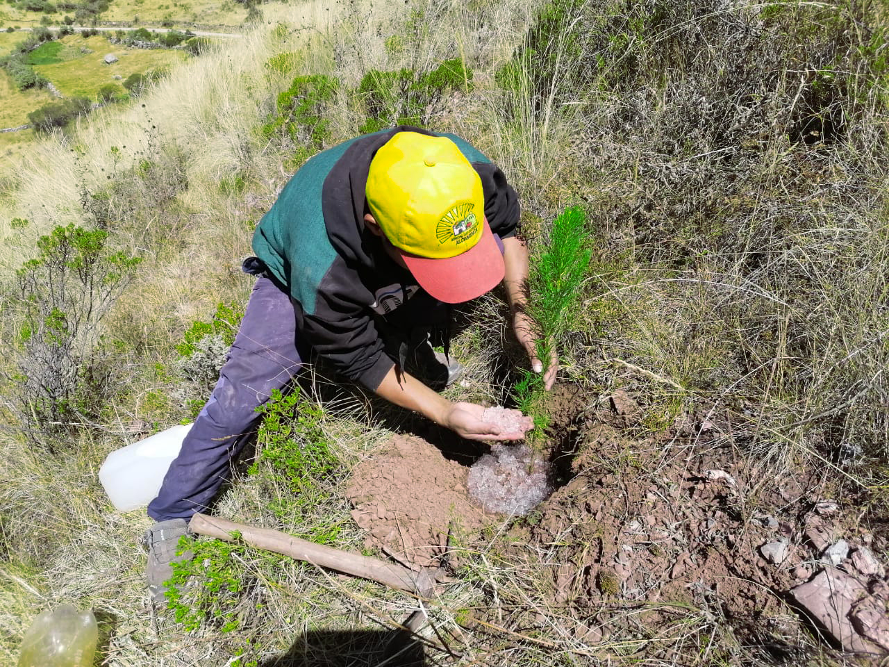 DRA Ayacucho monitorea 450 mil especies forestales instalados en Fajardo