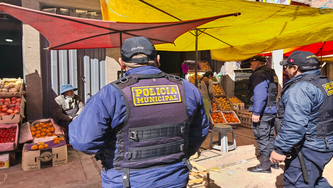 ORDENAMIENTO DE JULIACA 04