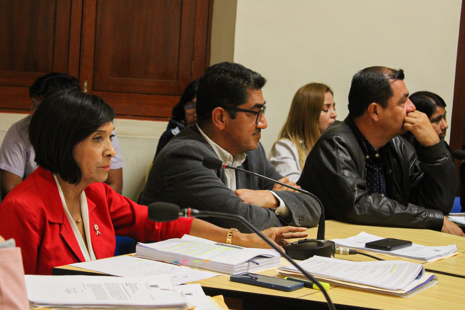 sesión de concjo