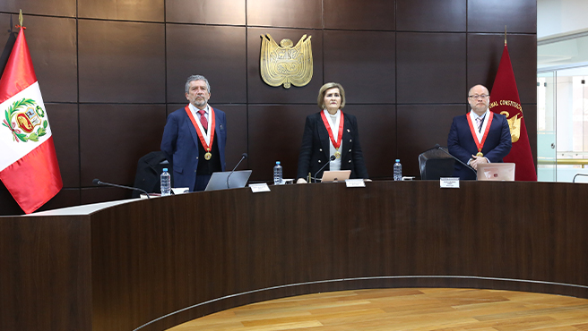 En audiencia pública la Sala Primera dejó al voto 70 procesos constitucionales procedentes de diversas jurisdicciones del país