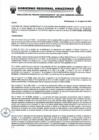 Vista preliminar de documento ROS N°001-2024GRA