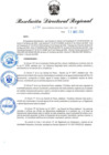 Vista preliminar de documento RDR-594-2024