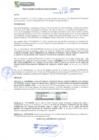 Vista preliminar de documento res111