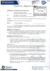 Vista preliminar de documento INFORME N° 02-2024-MPSRJ/GFC-SGOF/WAOV