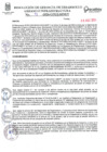 Vista preliminar de documento RESOLUCION DE GERENCIA DE DESARROLLO URBANO E INFRAESTRUCTURA N°091-2024-GDUI-MDP/T