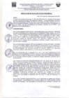 Vista preliminar de documento Resolucion273_2022