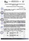 Vista preliminar de documento RGG N° 0015-2023-CAFED-GG
