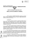 Vista preliminar de documento 036-2024-GRAL