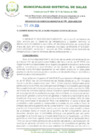 Vista preliminar de documento RESOLUCION N°330-2024