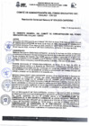 Vista preliminar de documento RGG N° 0030-2023-CAFED-GG