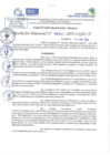 Vista preliminar de documento RD N 0581