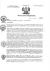 Vista preliminar de documento R.D N° 248-2024-HMA-DG
