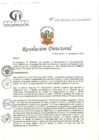 Vista preliminar de documento RD N°257-08-2024-DE-HCLLH-MINSA