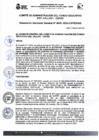 Vista preliminar de documento RGG N° 0035-2023-CAFED-GG