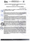 Vista preliminar de documento RGG N° 0040-2023-CAFED-GG