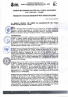 Vista preliminar de documento RGG N° 0033-2023-CAFED-GG