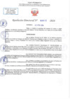 Vista preliminar de documento RD N 0612