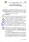 Vista preliminar de documento Resolucion294_2022
