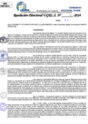 Vista preliminar de documento Resolucion Directoral N° 004585-2024