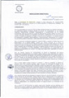 Vista preliminar de documento R.D 119-24-DG