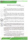 Vista preliminar de documento ra-041