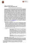 Vista preliminar de documento ADENDA N° 000010-2024-MPCP/ALC-GM