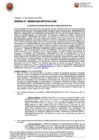 Vista preliminar de documento ADENDA N° 000009-2024-MPCP/ALC-GM