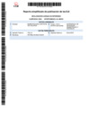 Vista preliminar de documento Reporte simplificado DJI Reynaldo-cese-inicio