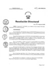 Vista preliminar de documento RD N°  219-2024-HNCH-DG
