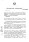Vista preliminar de documento RM-299-2024-MINEM-DM