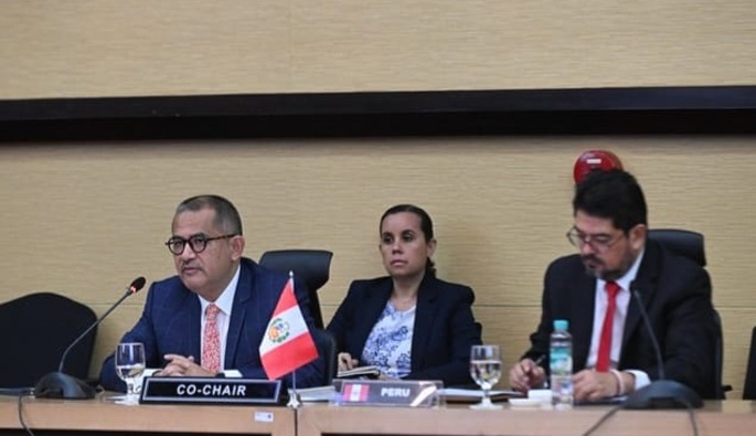 Primera reunión del Comité de Asociación para el Desarrollo Perú-ASEAN