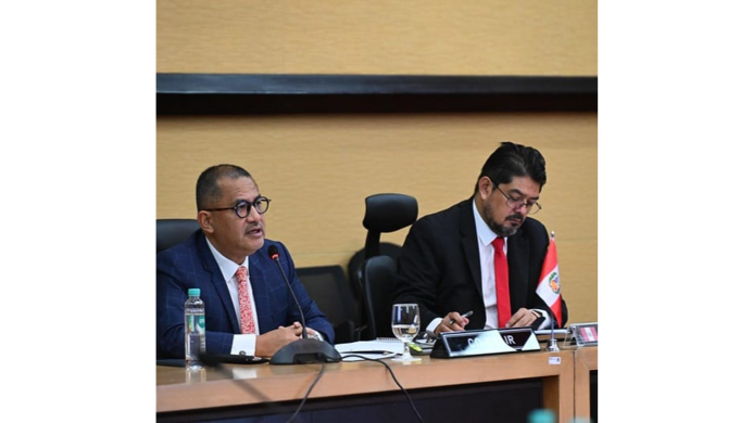 Primera reunión del Comité de Asociación para el Desarrollo Perú-ASEAN