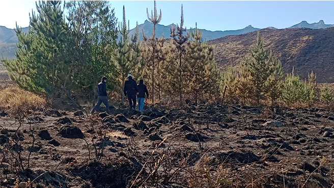 incendios