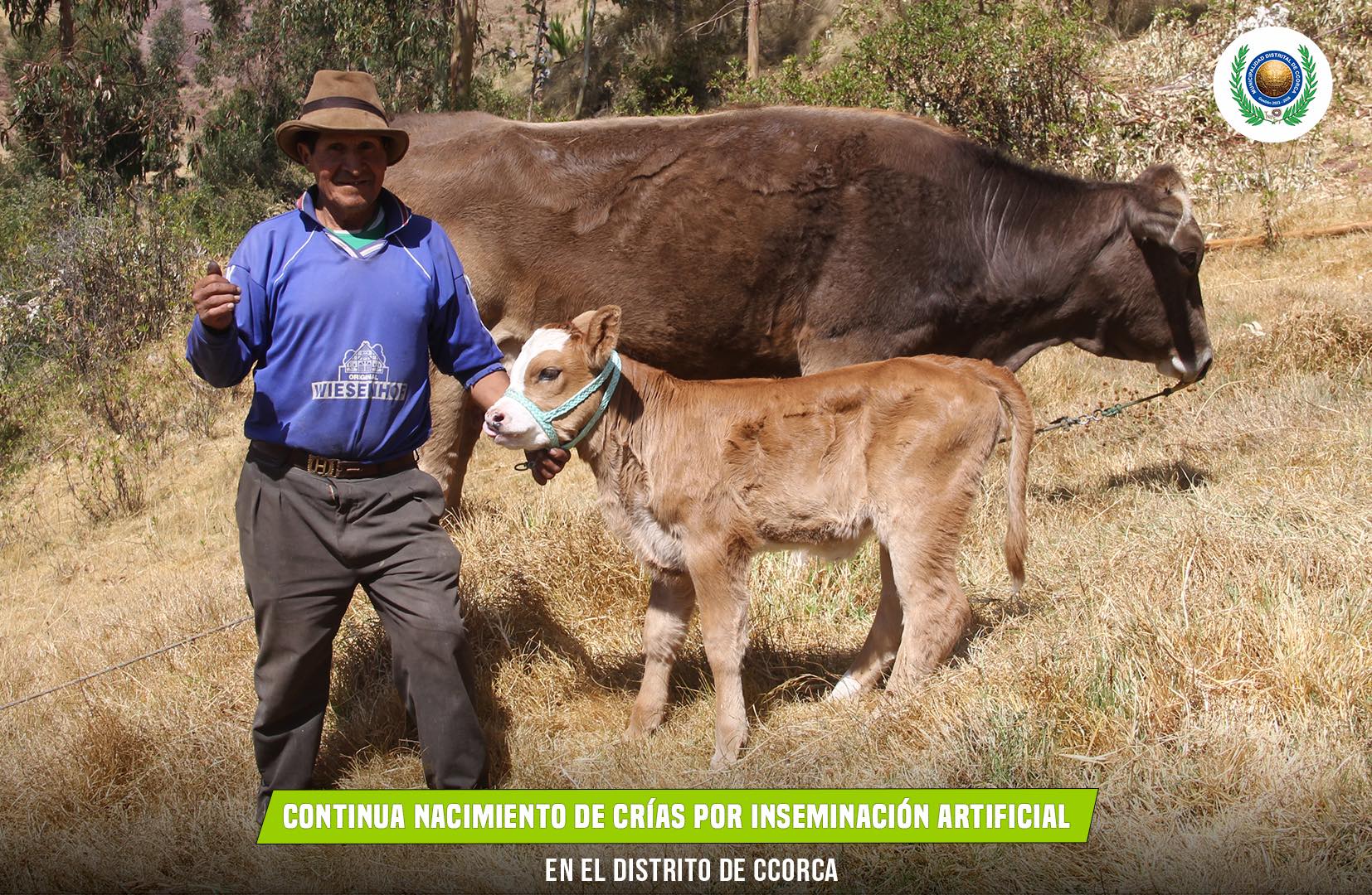 crias-02