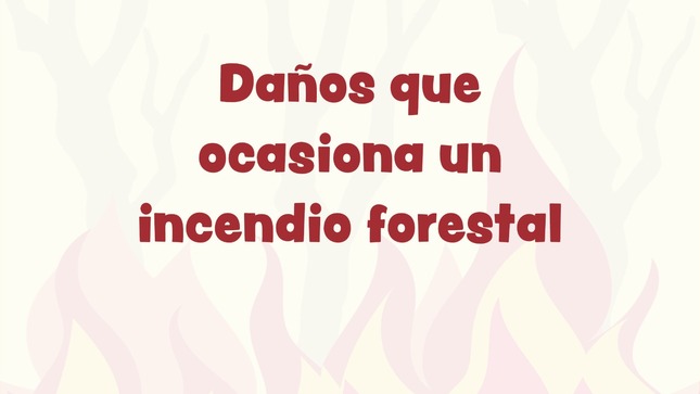 ¡𝙅𝙪𝙣𝙩𝙤𝙨 𝙚𝙫𝙞𝙩𝙚𝙢𝙤𝙨 𝙡𝙤𝙨 𝙞𝙣𝙘𝙚𝙣𝙙𝙞𝙤𝙨 𝙛𝙤𝙧𝙚𝙨𝙩𝙖𝙡𝙚𝙨!
📣 El Servicio Nacional Forestal y de Fauna Silvestre (Serfor) Áncash y la Municipalidad Provincial de Sihuas, te recuerdan los daños que ocasiona un incendio forestal .🔥🚫
¡𝙅𝙪𝙣𝙩𝙤𝙨 𝙚𝙫𝙞𝙩𝙚𝙢𝙤𝙨 𝙡𝙤𝙨 𝙞𝙣𝙘𝙚𝙣𝙙𝙞𝙤𝙨 𝙛𝙤𝙧𝙚𝙨𝙩𝙖𝙡𝙚𝙨!
👉Ante un incendio forestal, comunícate con las autoridades correspondientes🤝
