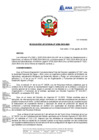 Vista preliminar de documento RJ N° 306-2024 NApdf