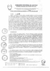 Vista preliminar de documento RGR0348-2024-GRI