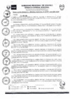 Vista preliminar de documento RGGR0369-2024