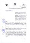 Vista preliminar de documento R.A. 980-2024-P-CSJJU, RONALD FLORES RESPONS. DE ACCESO A LA INFOR. Y EDSON MAMANI DE SOLICITUDES PROPIAS