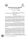 Vista preliminar de documento RDR Nº 2683-2024-GRSM-DRE