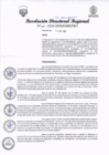 Vista preliminar de documento RDR Nº 187-2024-GRSM-DIREPRO001