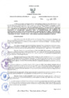 Vista preliminar de documento RES-104-2024-GRI