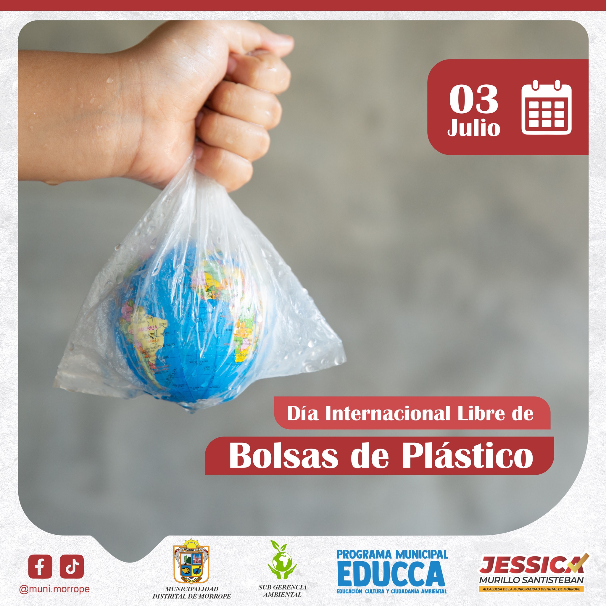 bolsa