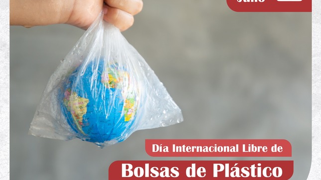 bolsa