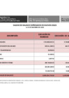 Vista preliminar de documento Saldos de Balance 2022