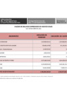 Vista preliminar de documento Saldos de Balance 2021