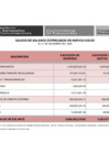 Vista preliminar de documento Saldos de Balance 2020