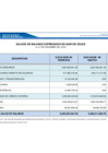 Vista preliminar de documento Saldos de Balance 2019