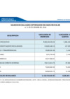 Vista preliminar de documento Saldos de Balance 2018